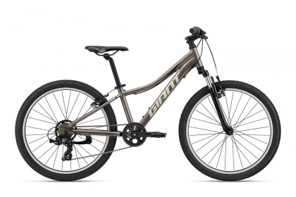 Велосипед детский Giant XtC Jr 24 (2022) / Серый металлик