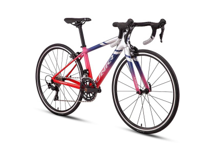 Велосипед детский Uniq RС24 (2023) / Серебристо-красный