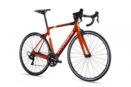 Велосипед шоссейный Pardus Robin Sport Rim 105 (2023) / Оранжевый