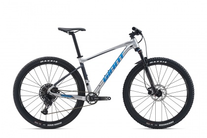 Велосипед Giant Fathom 29 2 (2020) / Серый