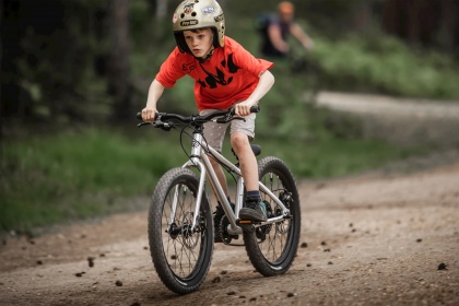 Велосипед детский Early Rider Seeker 20 (2020) / Серебристый