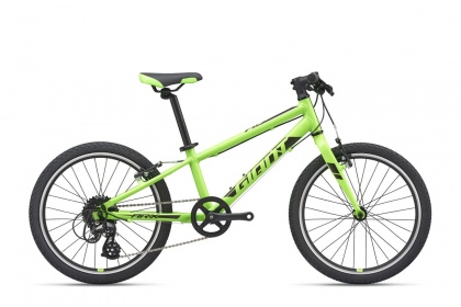 Велосипед детский Giant ARX 20 (2021) / Зеленый