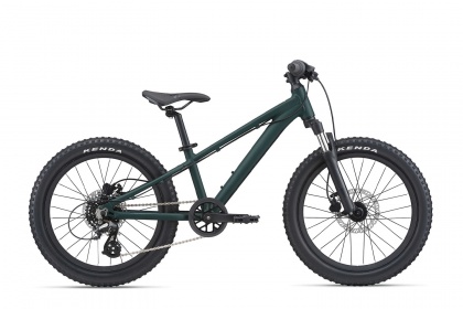 Велосипед детский Giant STP 20 FS (2021) / Зеленый