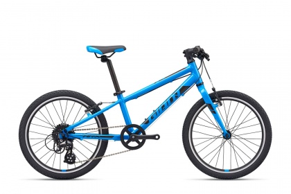 Велосипед детский Giant ARX 20 (2021) / Голубой