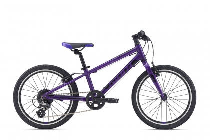 Велосипед детский Giant ARX 20 (2021) / Фиолетовый