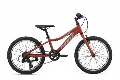 Велосипед детский Giant XtC Jr 20 Lite (2021) / Красный