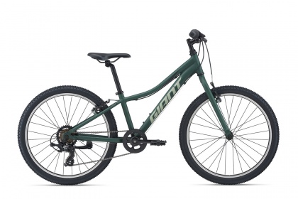 Велосипед детский Giant XtC Jr 24 Lite (2021) / Зеленый