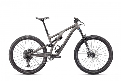 Велосипед горный Specialized Stumpjumper Evo Comp Alloy (2022) / Серый