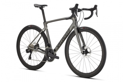 Велосипед шоссейный Specialized Roubaix Expert (2022) / Серый