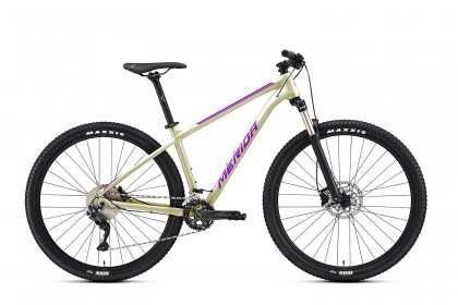 Велосипед горный Merida Big.Nine 300 (2022) / Бежевый