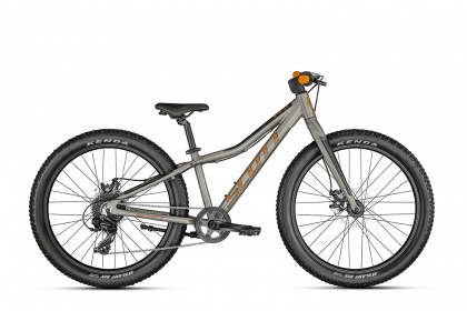 Велосипед детский Scott Roxter 24 (2021) / Серый