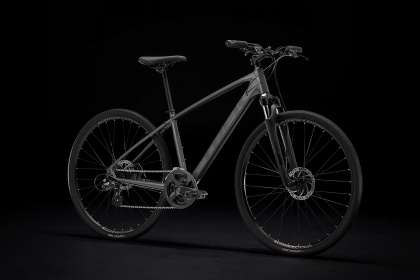Велосипед Trek Dual Sport 1 (2022) / Темно-серый