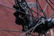 Велосипед горный Format 1313 / Черный