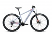 Велосипед горный Format 1413 29 / Серый