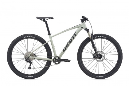 Велосипед горный Giant Talon 29 1 (2021) / Светло-серый