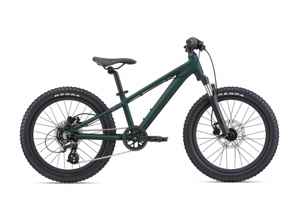 Велосипед детский Giant STP 20 FS (2022) / Темно-зеленый