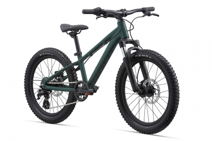 Велосипед детский Giant STP 20 FS (2022) / Темно-зеленый