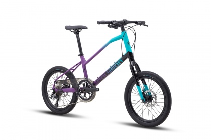 Велосипед Polygon Zeta 2 (2022) / Фиолетовый