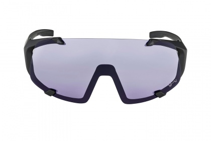 Очки Alpina Hawkeye Q-Lite V / Black Matt Purple