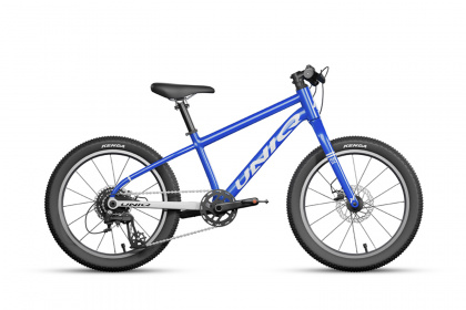 Велосипед детский Uniq RA20 (2023) / Синий