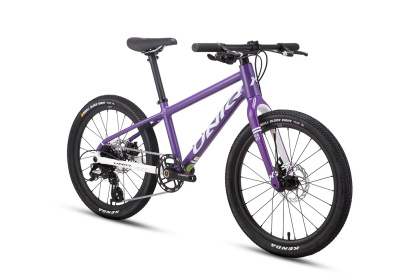 Велосипед детский Uniq RA20 (2023) / Фиолетовый