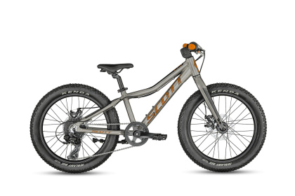 Велосипед детский Scott Roxter 20 (2023) / Серебристый