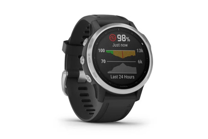 Мультиспортивные часы Garmin Fenix 6S / Серебристо-черные