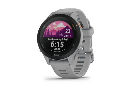 Мультиспортивные часы Garmin Forerunner 255S / Светло-серые