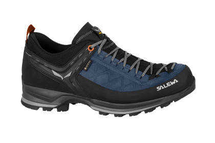 Ботинки для треккинга Salewa Mountain Trainer 2 Gore-Tex / Синие