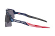 Очки Oakley Sutro Lite Sweep / Troy Lee Designs Blue Colorshift Prizm Grey