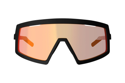 Очки Leatt MadViz One / Black White Iriz Cryztal Red