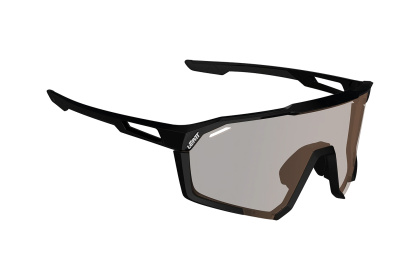 Очки Leatt SpeedViz Pro / Satin Black Iriz Silver