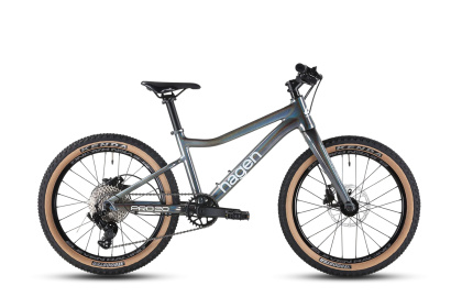 Велосипед детский Hagen Teen Pro 20 Carbon / Серо-синий хамелеон