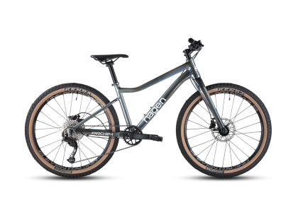Велосипед детский Hagen Teen Pro 24 Carbon / Серо-синий хамелеон